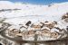chalet 5 Rooms for sale on L ALPE D HUEZ (38750)