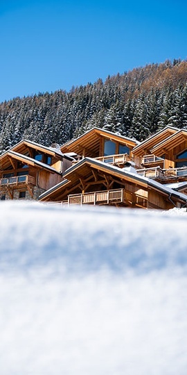 Ski In Ski Out Chalets