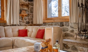 Appartements Pieds des pistes